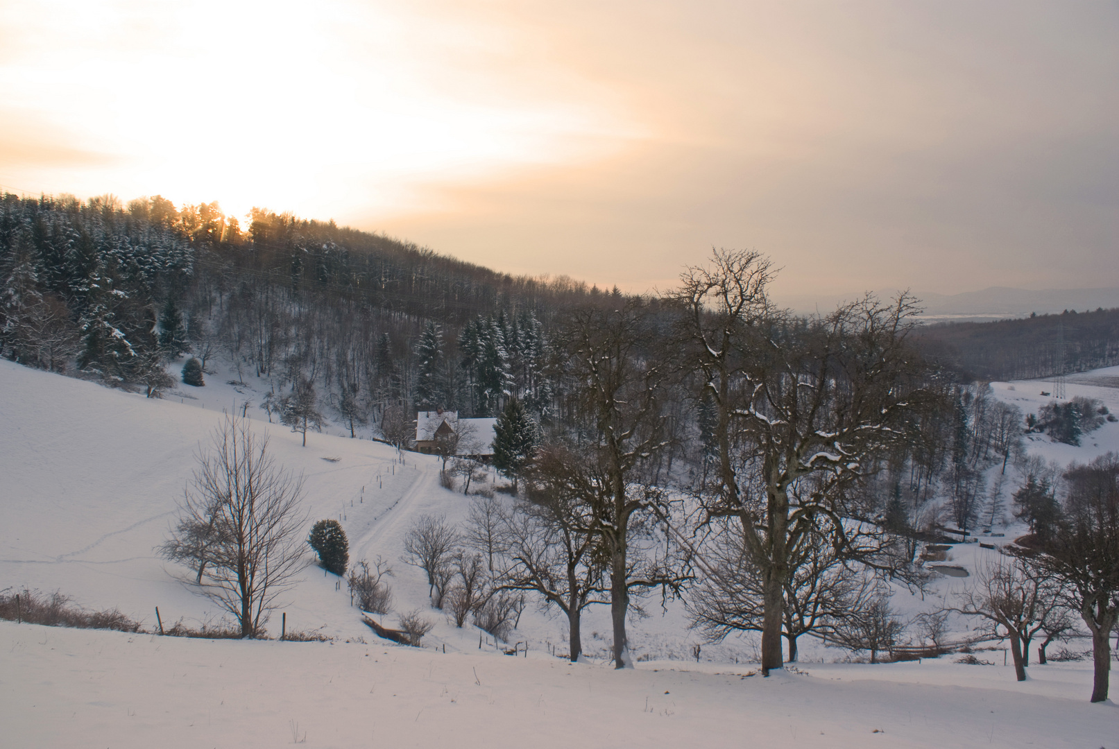 Winterlandschaft