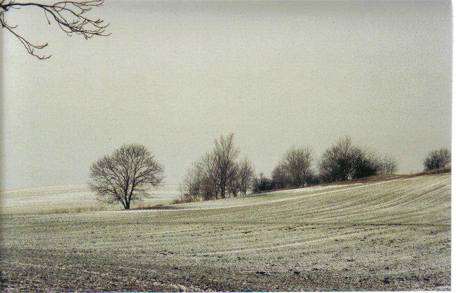 Winterlandschaft