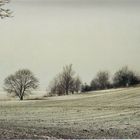 Winterlandschaft