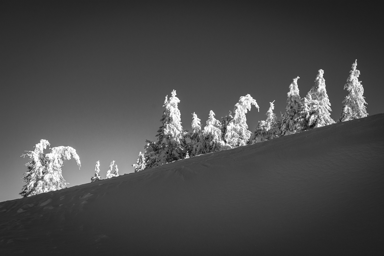 Winterlandschaft