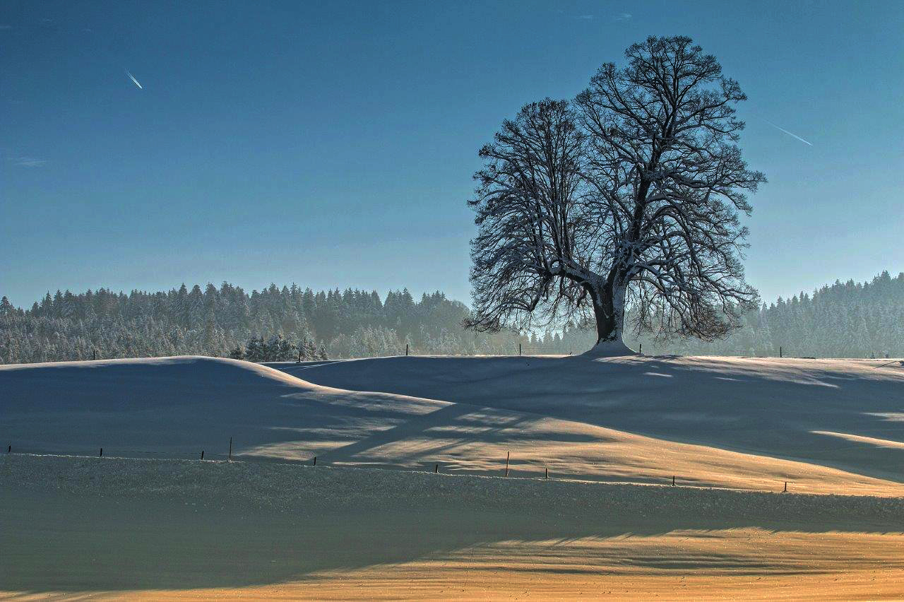 Winterlandschaft