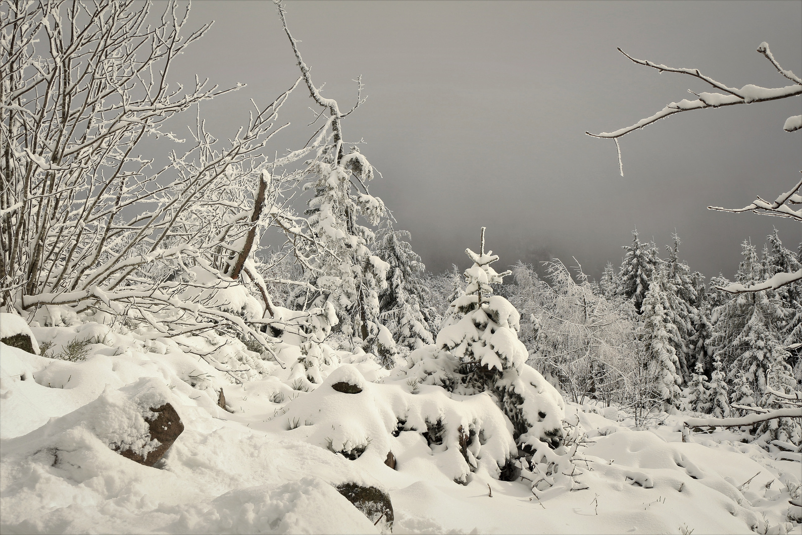 Winterlandschaft