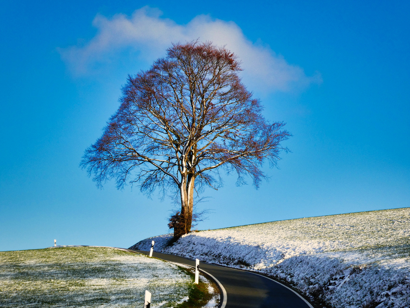 Winterlandschaft