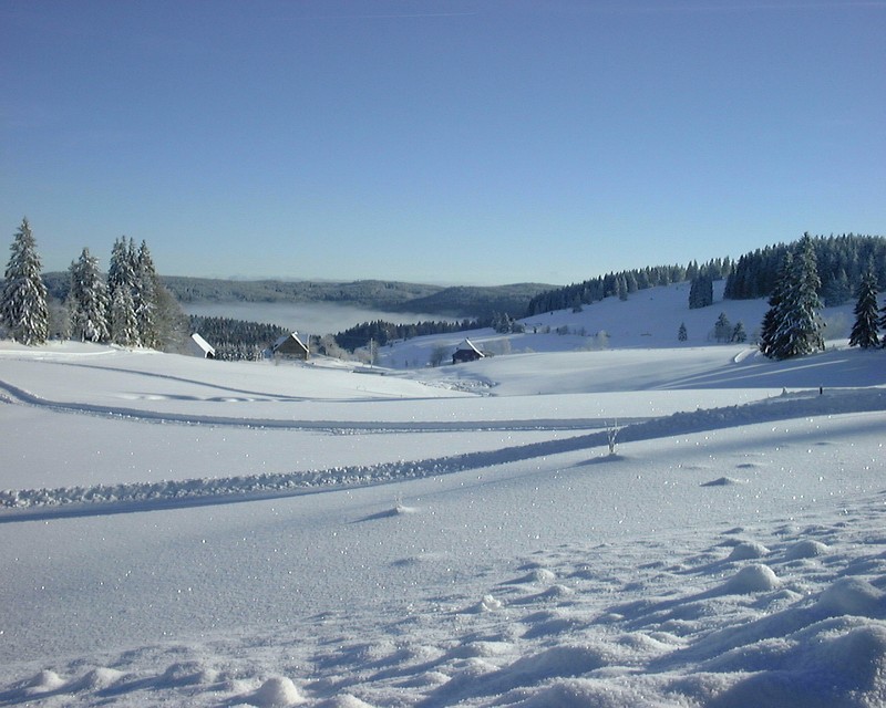 Winterlandschaft