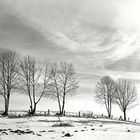 Winterlandschaft