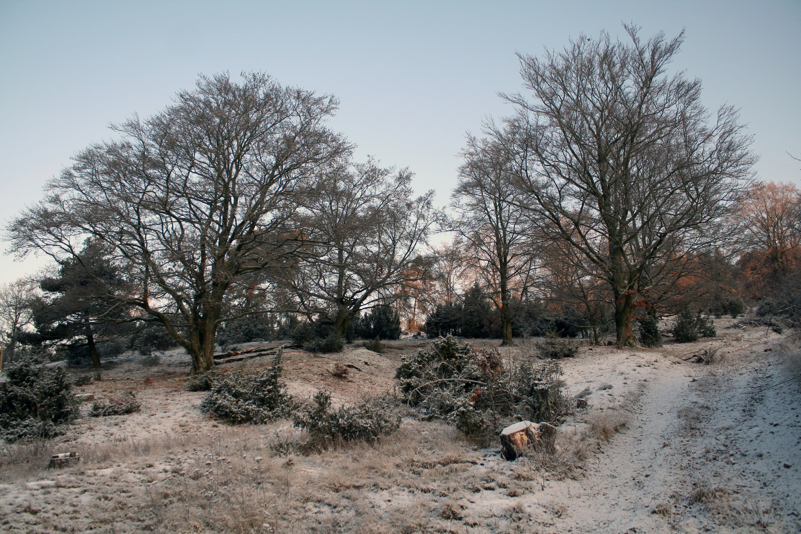 Winterlandschaft