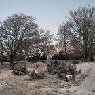 Winterlandschaft