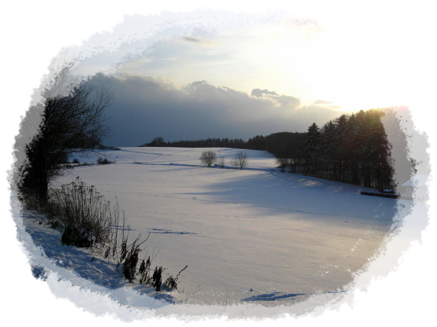 WINTERLANDSCHAFT