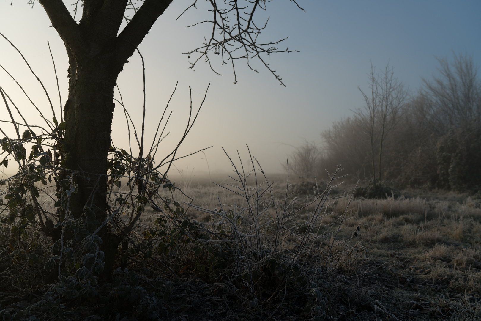 WINTERLANDSCHAFT