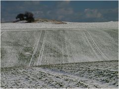 Winterlandschaft...