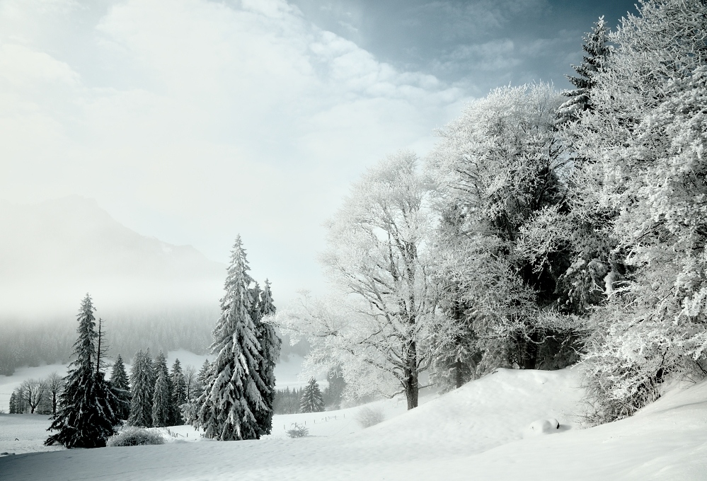 Winterlandschaft