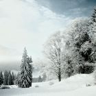 Winterlandschaft