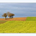 Winterlandschaft 