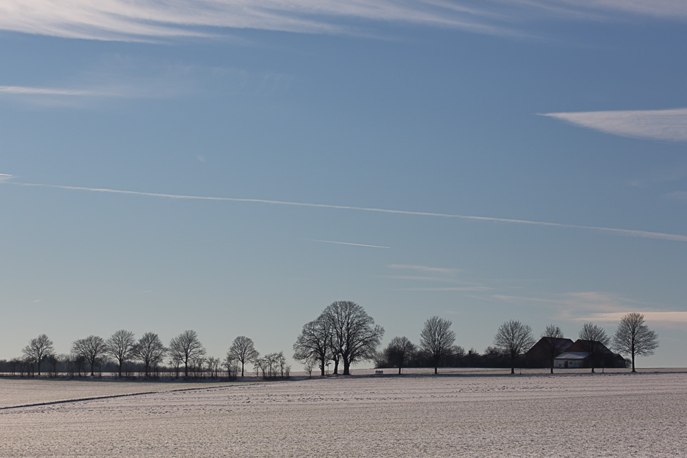 Winterlandschaft