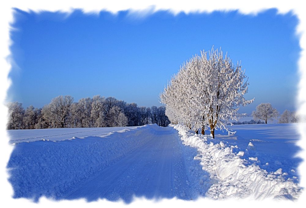 Winterlandschaft