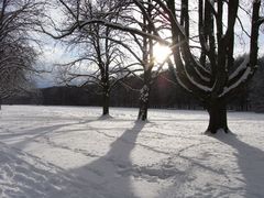 Winterlandschaft