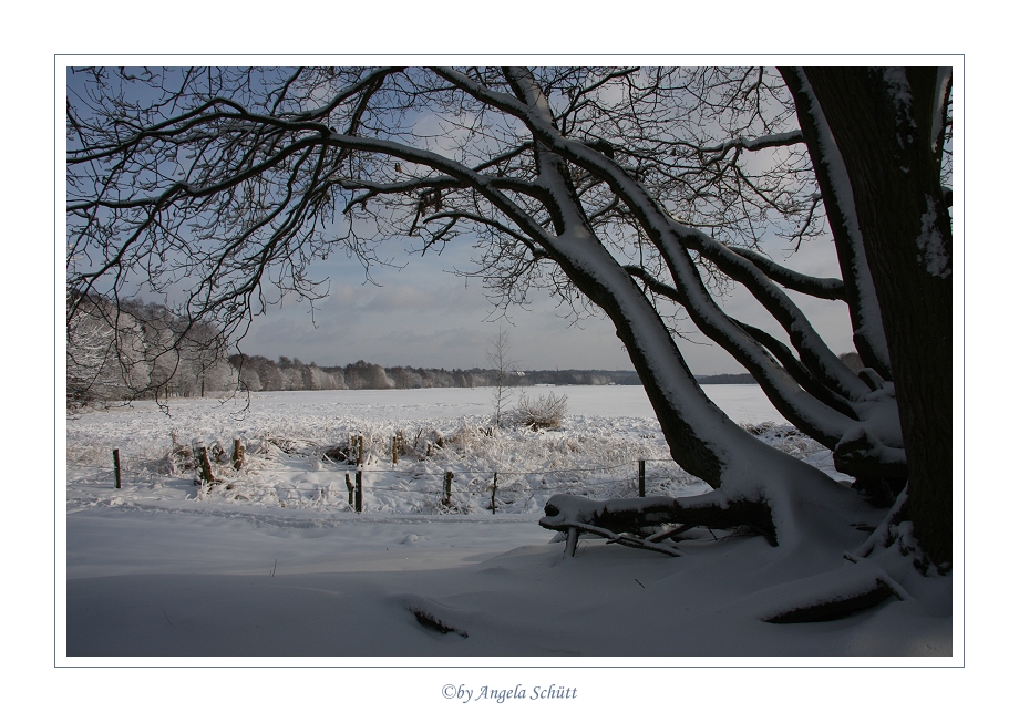 ~ Winterlandschaft ~