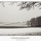 Winterlandschaft