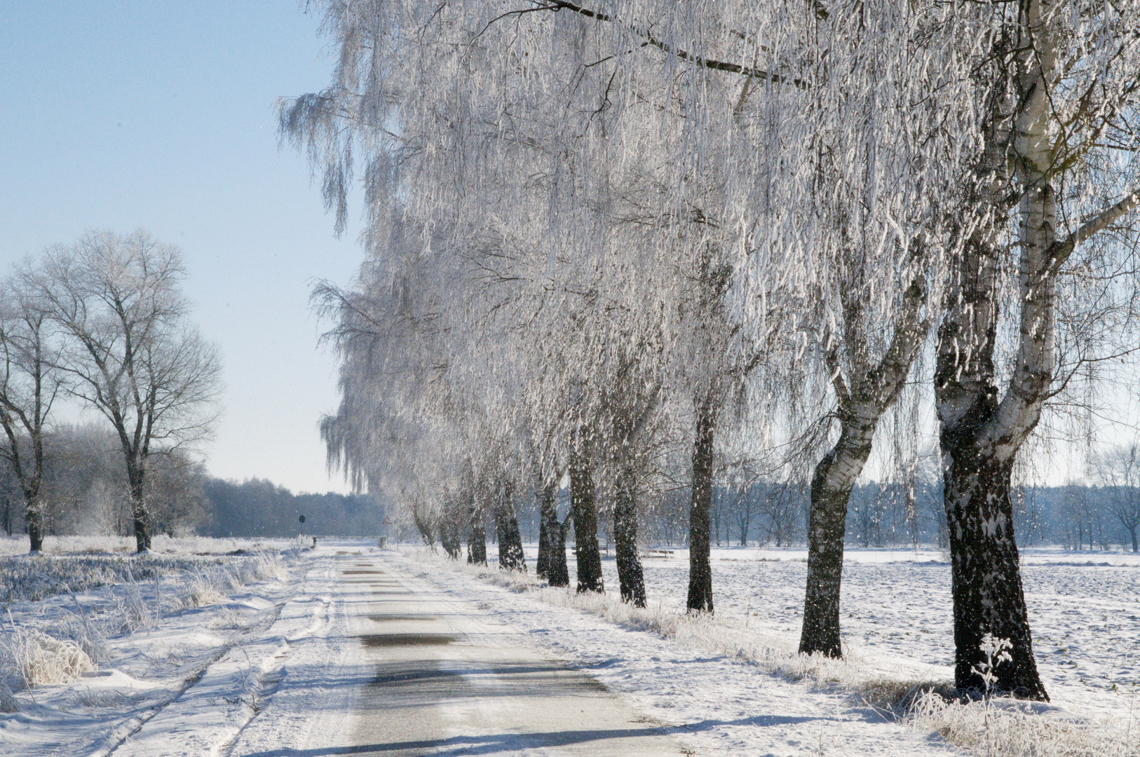 Winterlandschaft