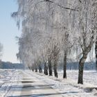 Winterlandschaft