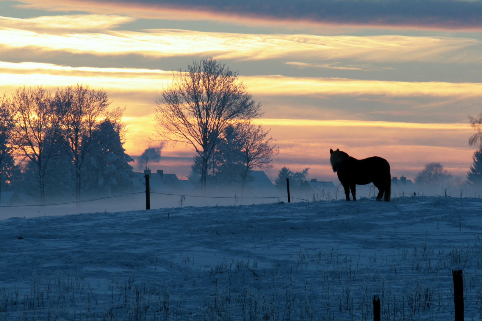 Winterlandschaft