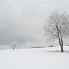 Winterlandschaft