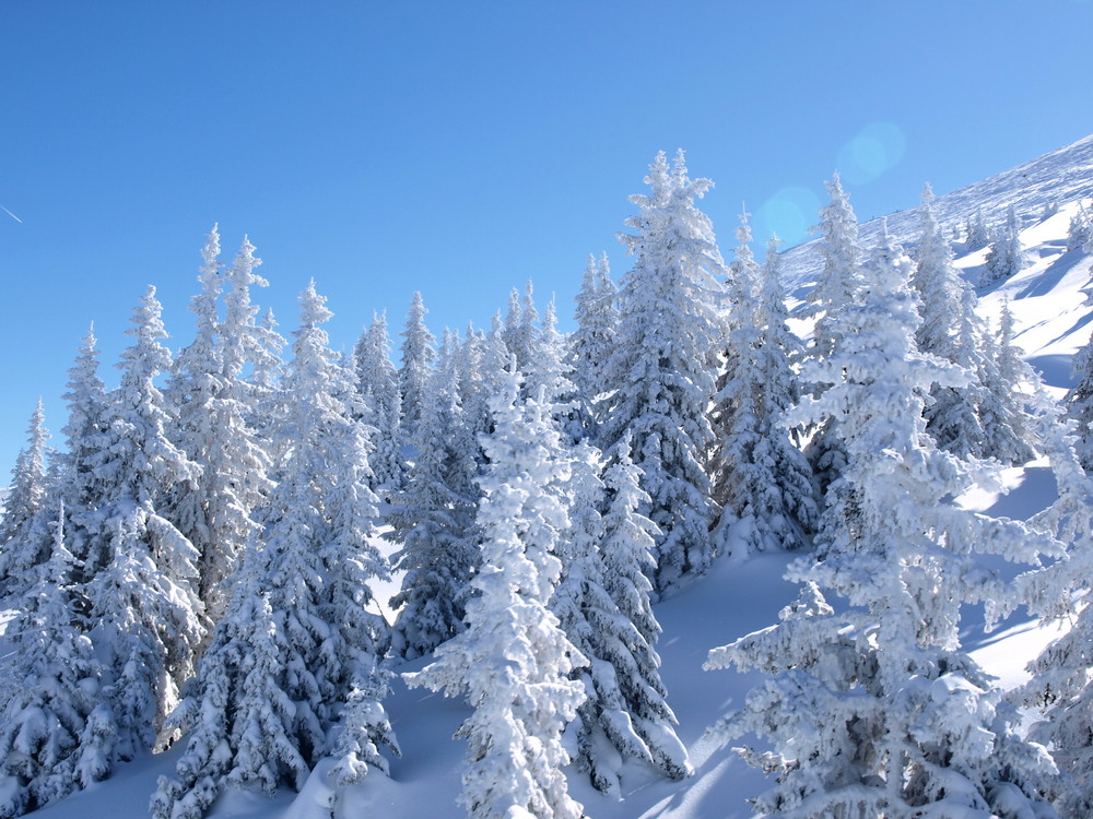 Winterlandschaft