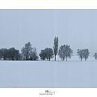 Winterlandschaft