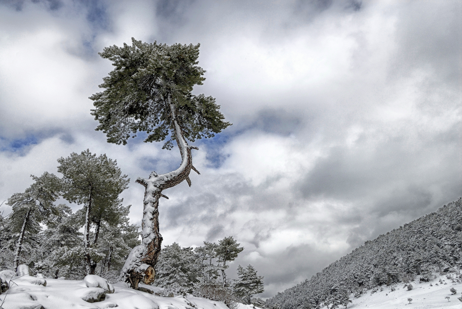 Winterlandschaft