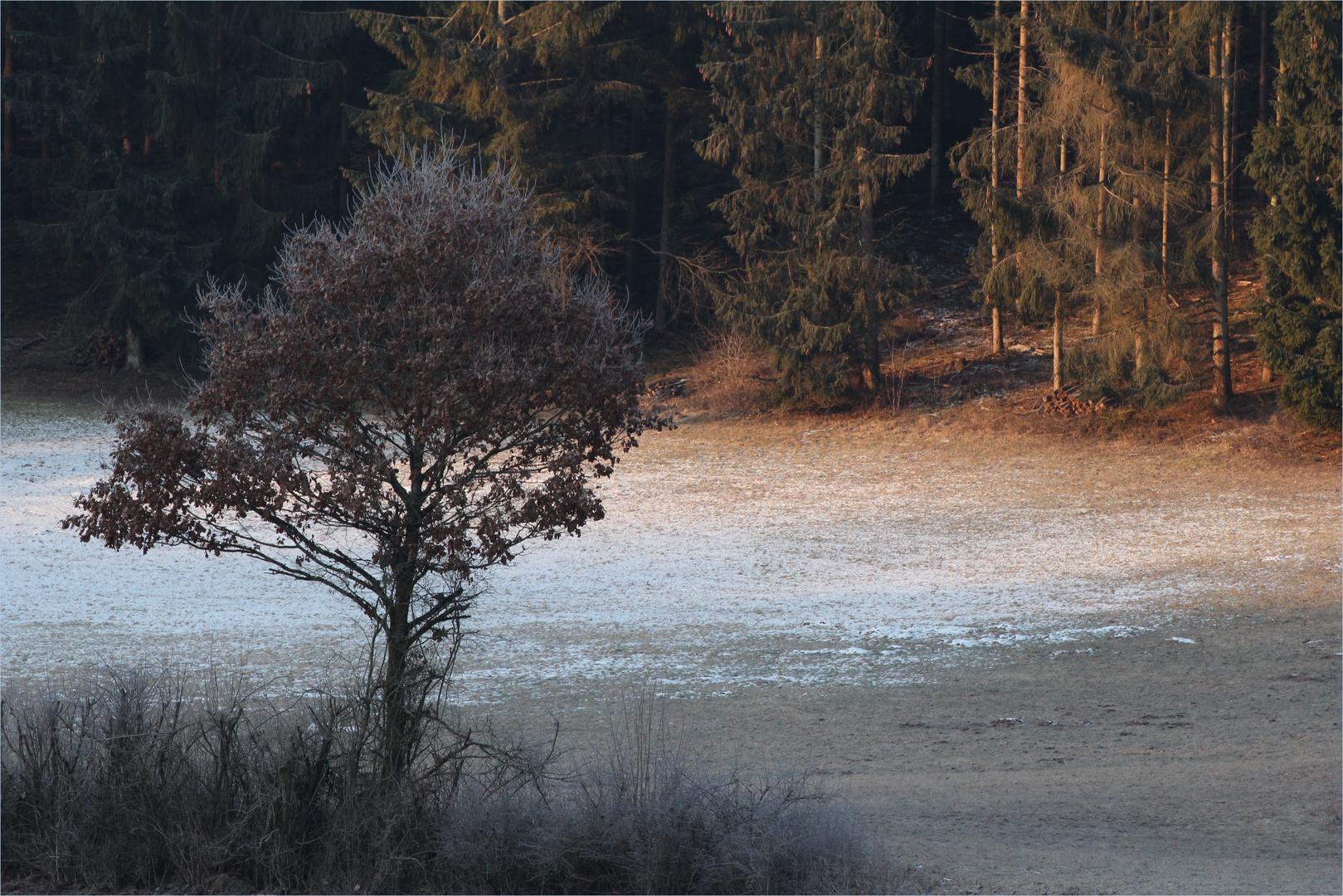 Winterlandschaft