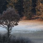 Winterlandschaft