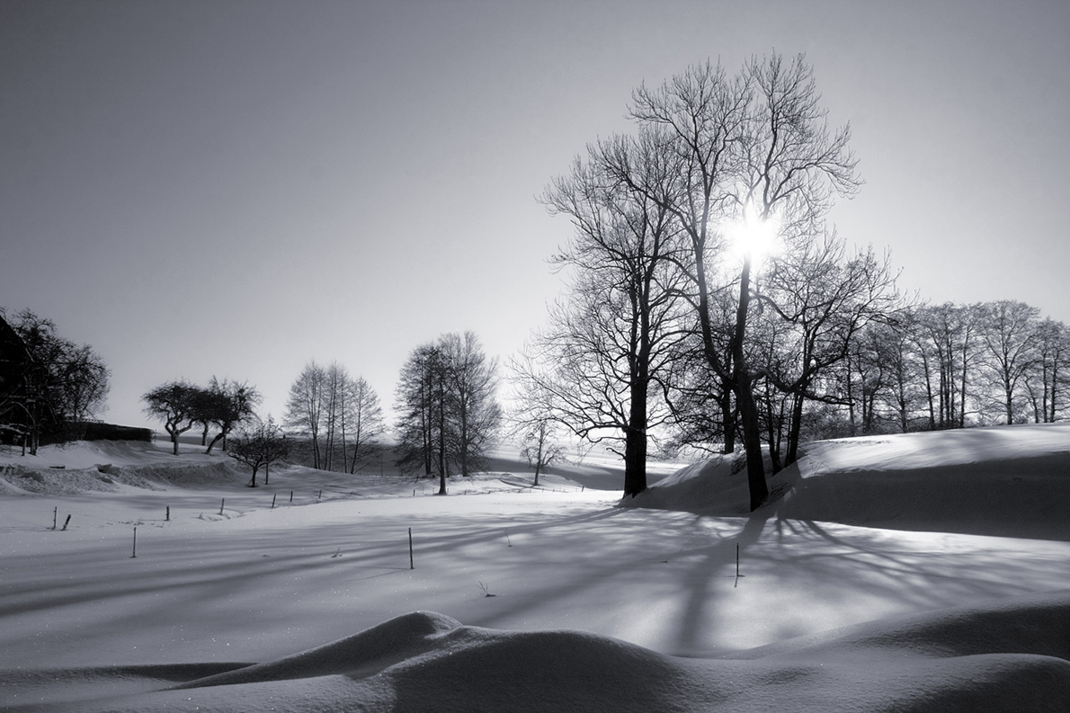 Winterlandschaft