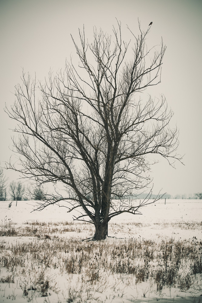 Winterlandschaft