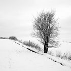 Winterlandschaft 5