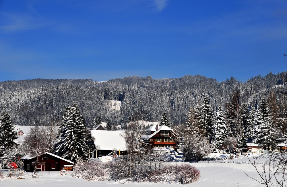 Winterlandschaft 5