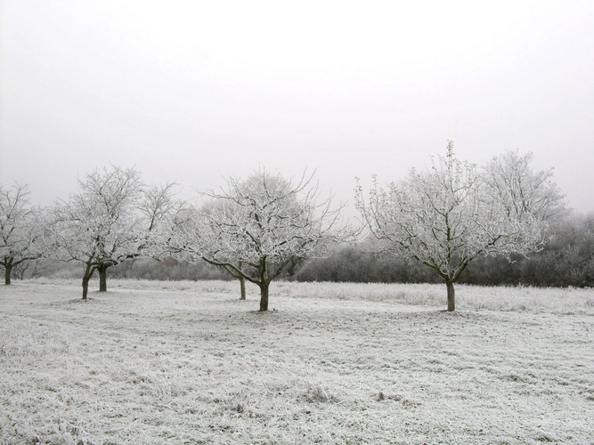 Winterlandschaft