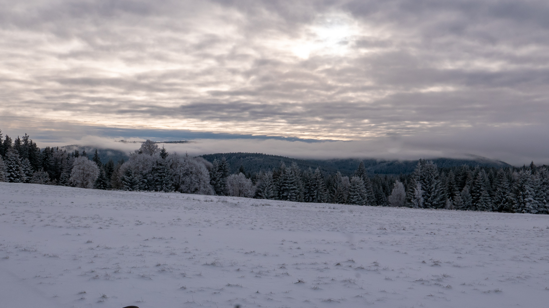 Winterlandschaft