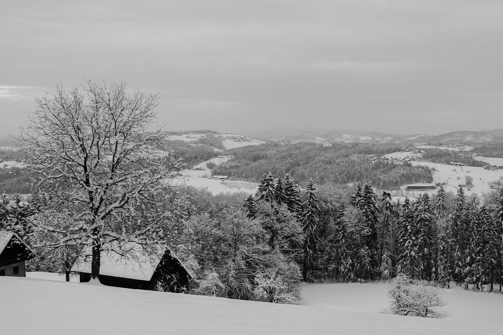 Winterlandschaft