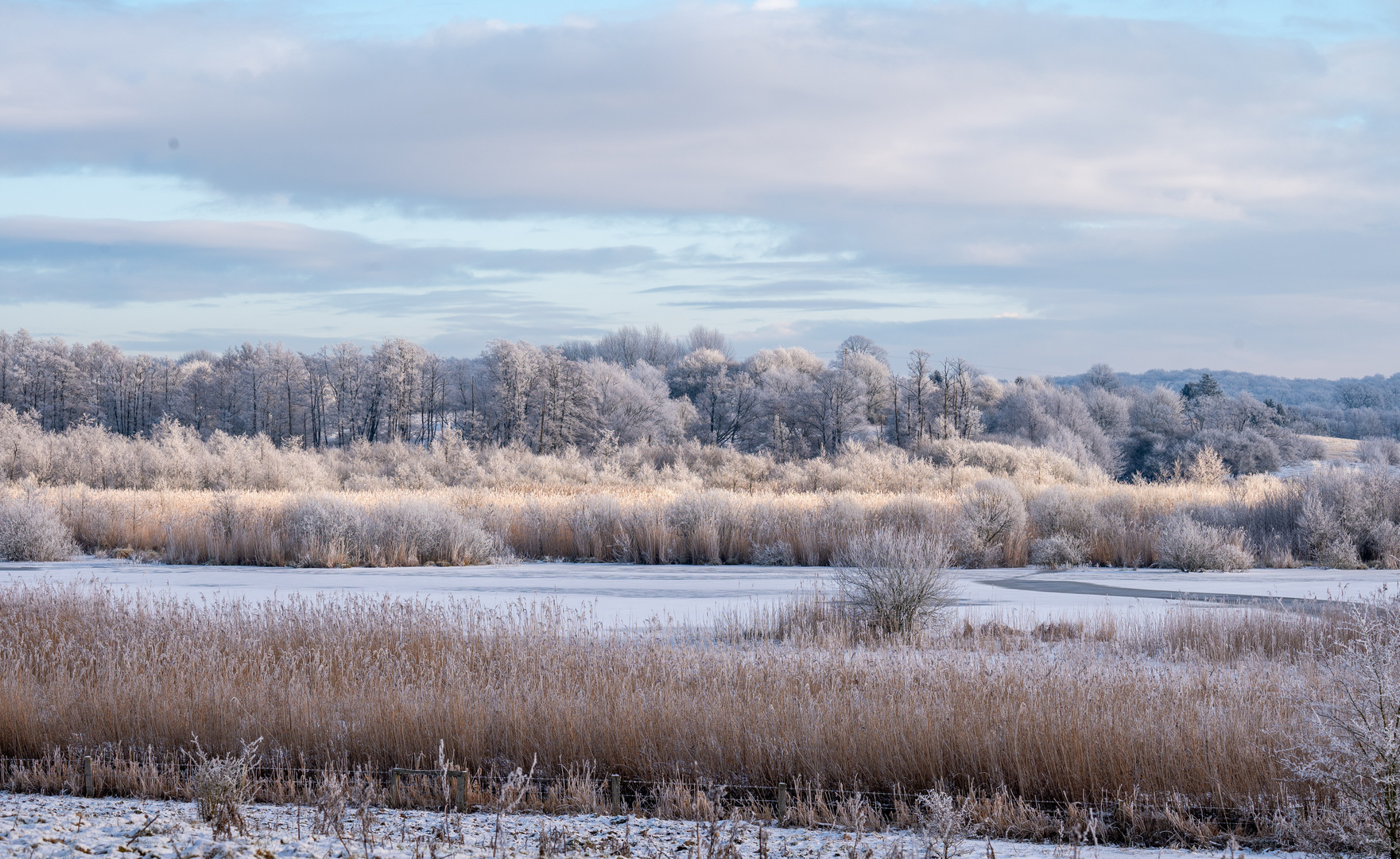 Winterlandschaft