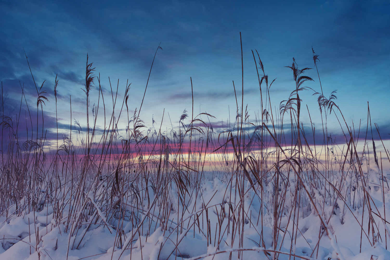 Winterlandschaft