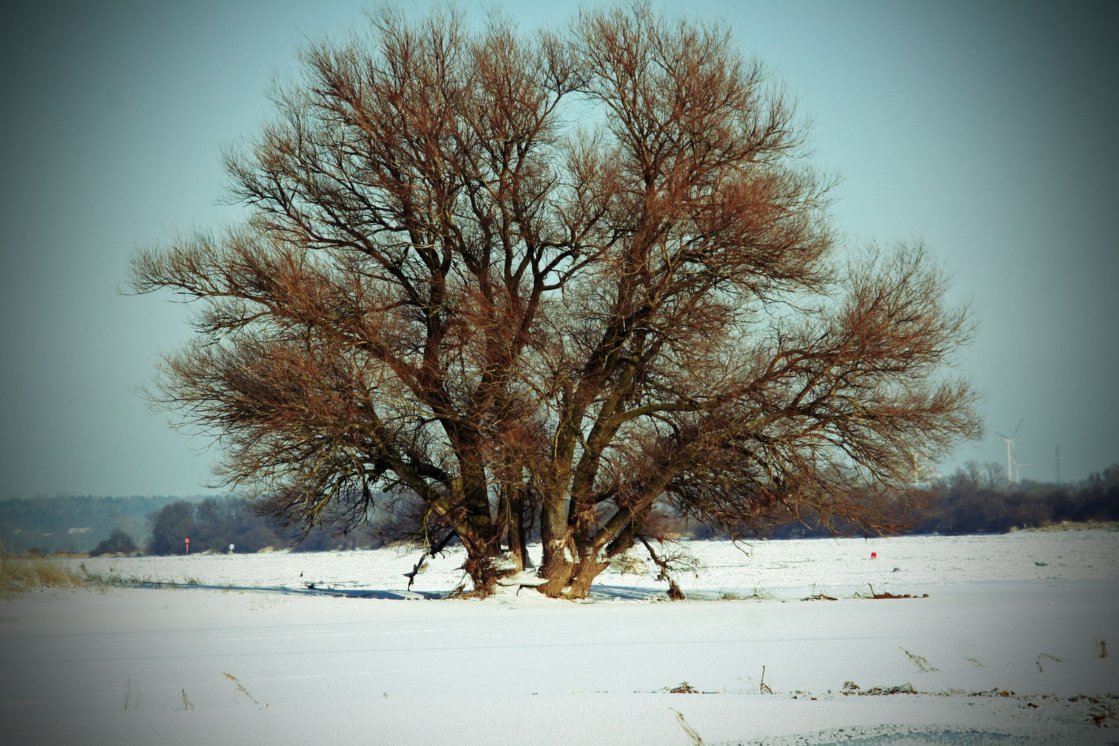 Winterlandschaft