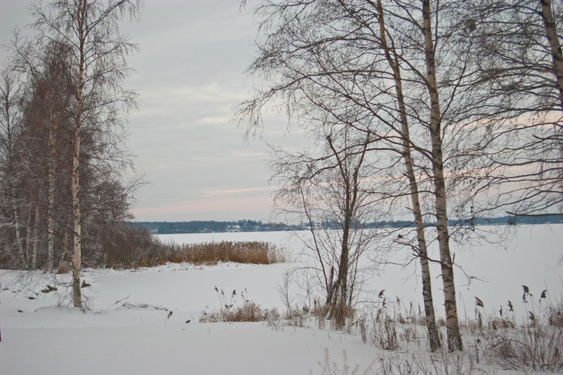 Winterlandschaft