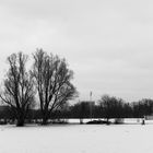 Winterlandschaft