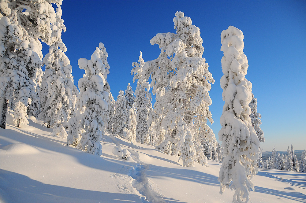 Winterlandschaft