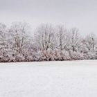 Winterlandschaft 