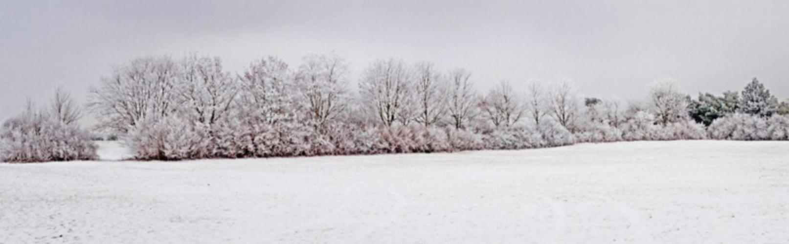 Winterlandschaft 