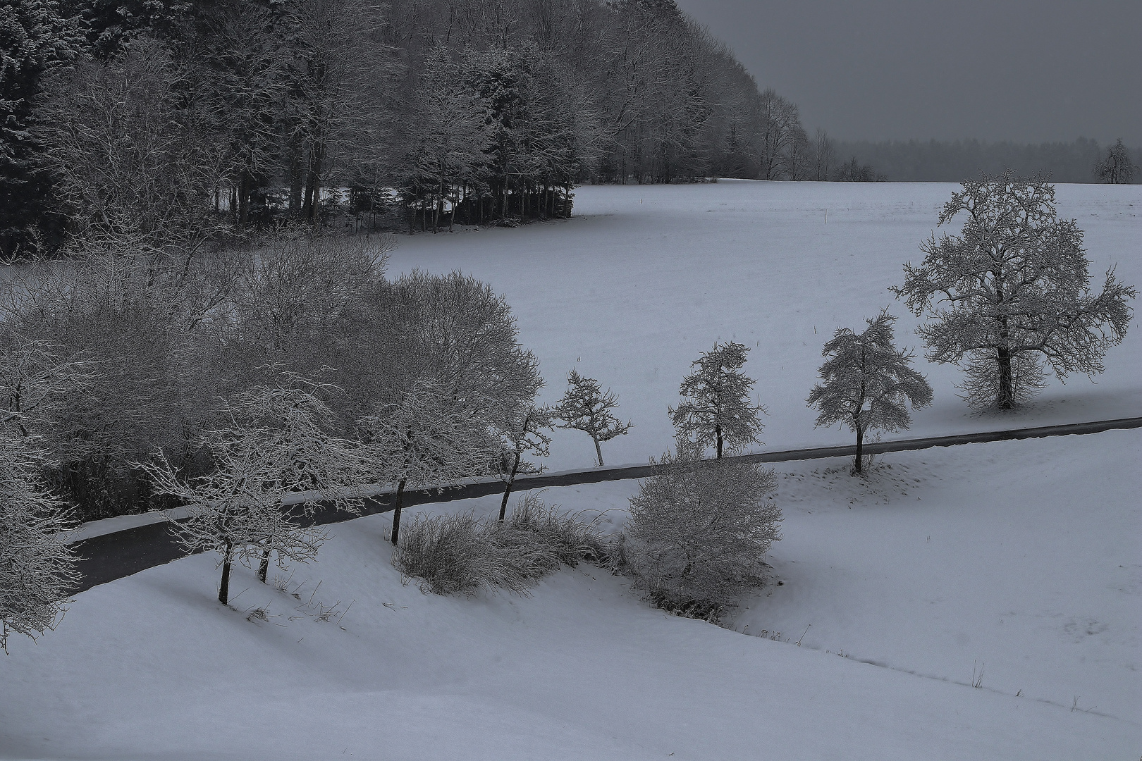 Winterlandschaft