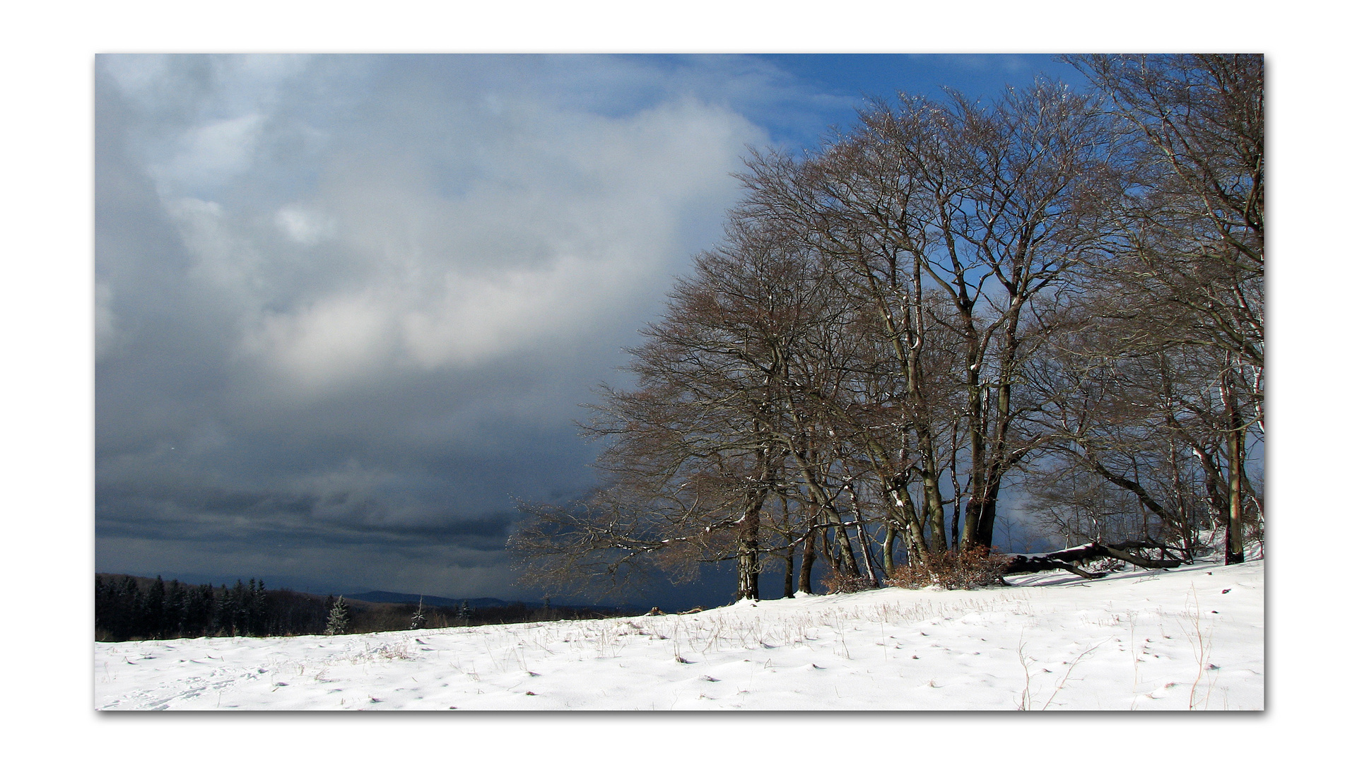 Winterlandschaft Foto Bild Jahreszeiten Winter Natur Bilder