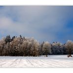 Winterlandschaft