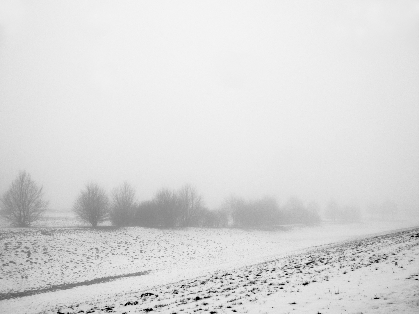 Winterlandschaft